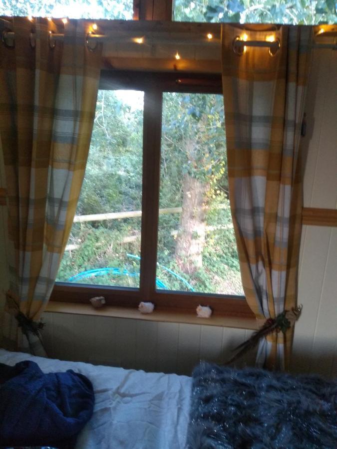 Glamping Malvern Shepherd Hut Esterno foto