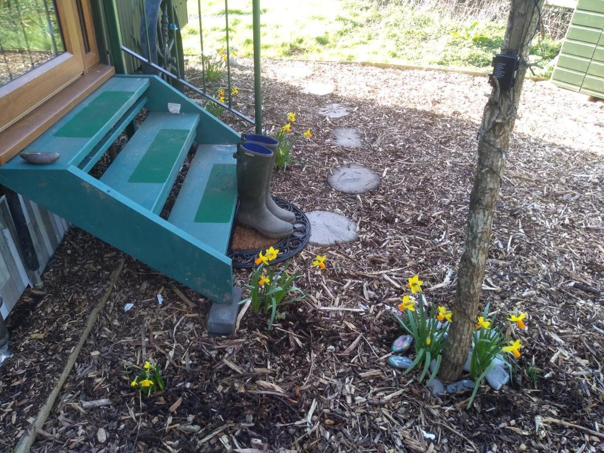 Glamping Malvern Shepherd Hut Esterno foto